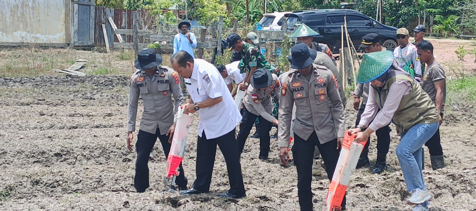 PENANAMAN JAGUNG SERENTAK KUATAL IV