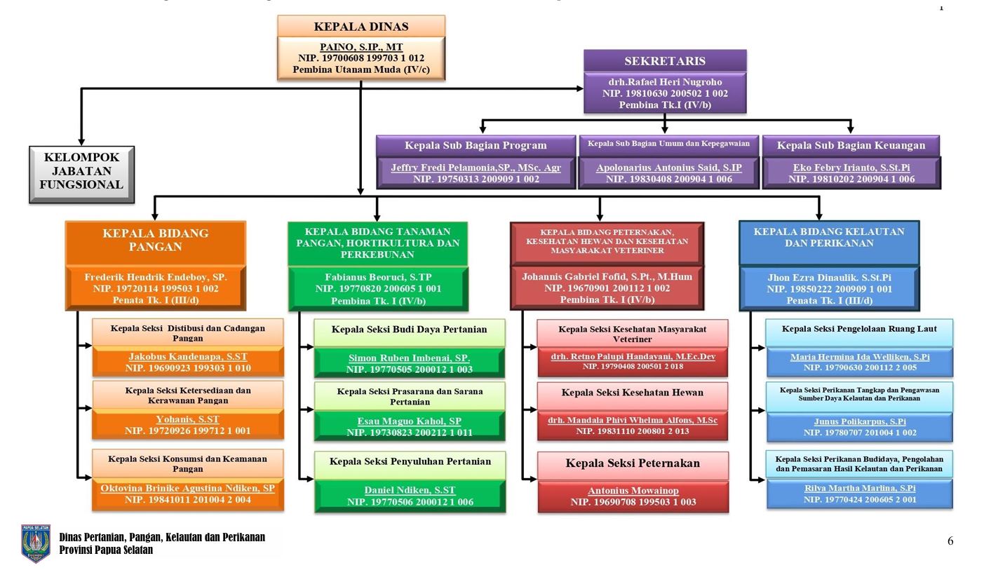 Struktur Organisasi Dinas Pertanian, Pangan, Kelautan & Perikanan Provinsi Papua Selatan